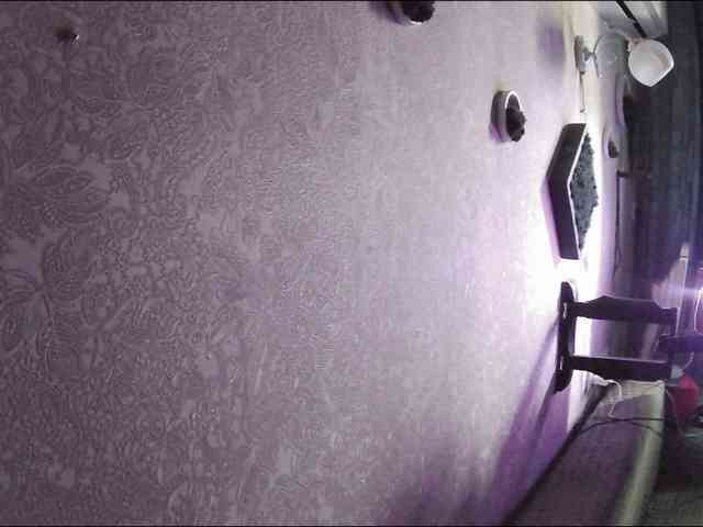 Infodar webcam