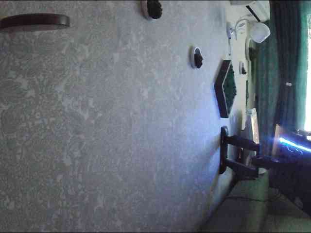 Infodar webcam