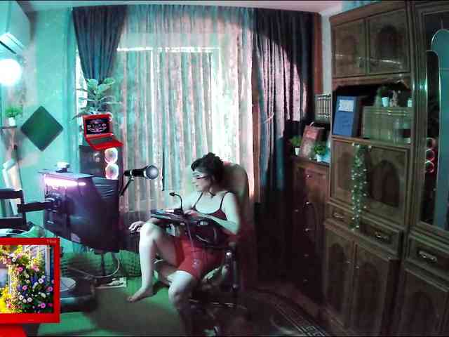 Infodar webcam