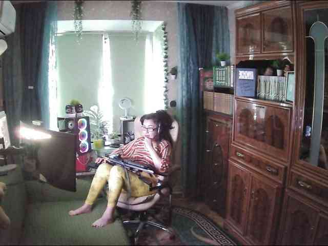 Infodar webcam