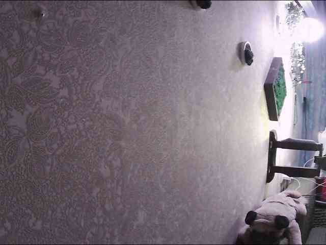 Infodar webcam
