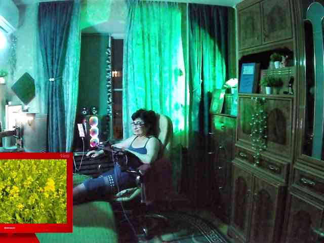 Infodar webcam