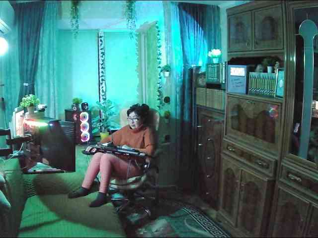 Infodar webcam