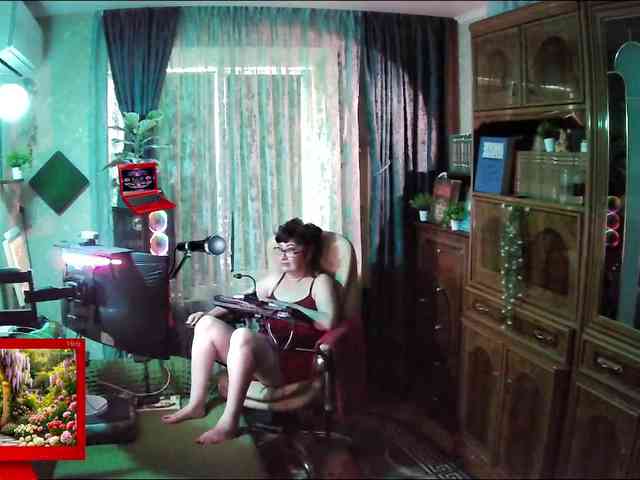 Infodar webcam
