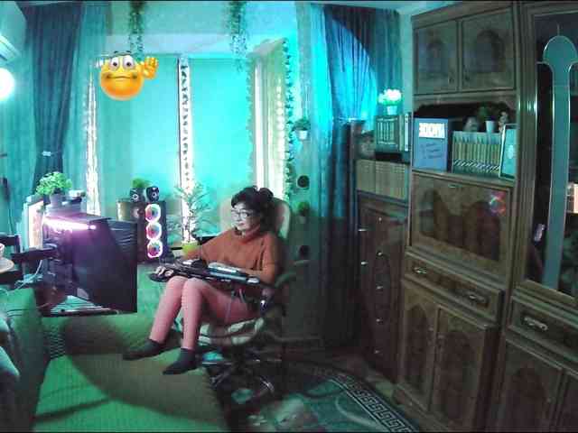 Infodar webcam