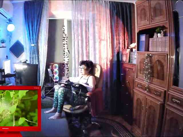 Infodar webcam
