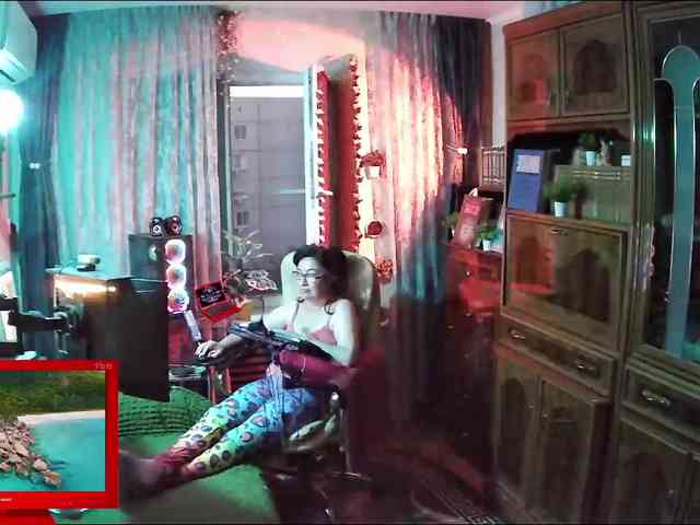 Infodar webcam