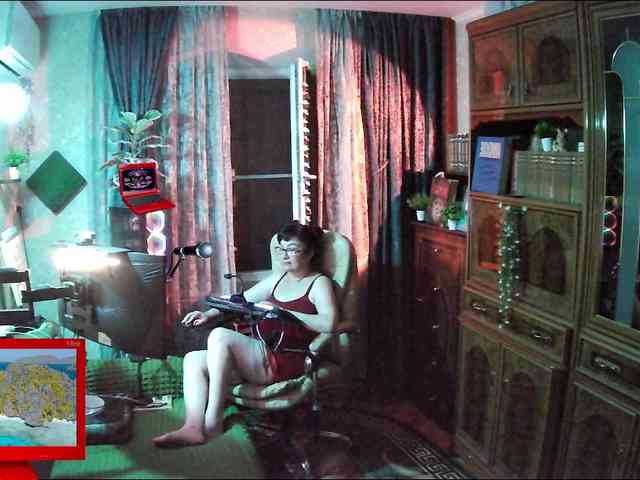 Infodar webcam
