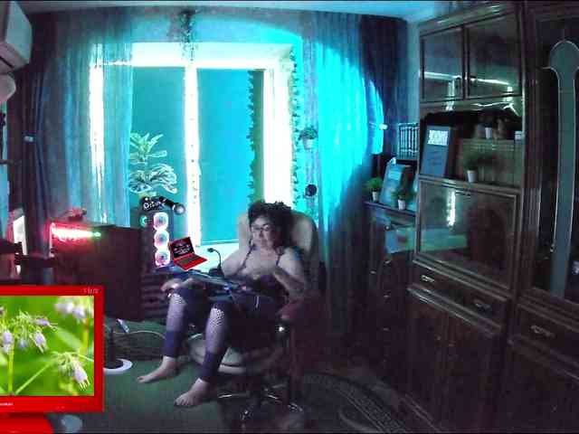 Infodar webcam