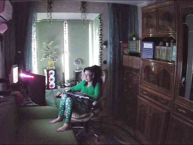 Infodar webcam