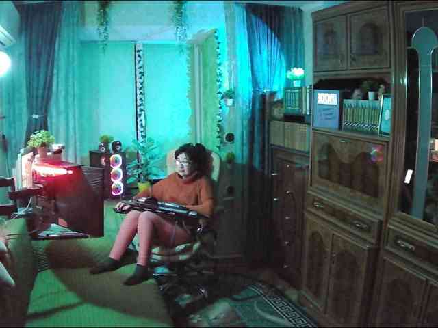 Infodar webcam