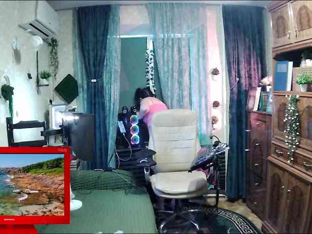 Infodar webcam