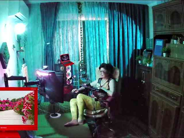 Infodar webcam