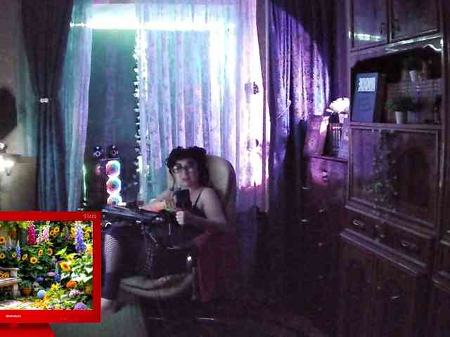 Infodar webcam