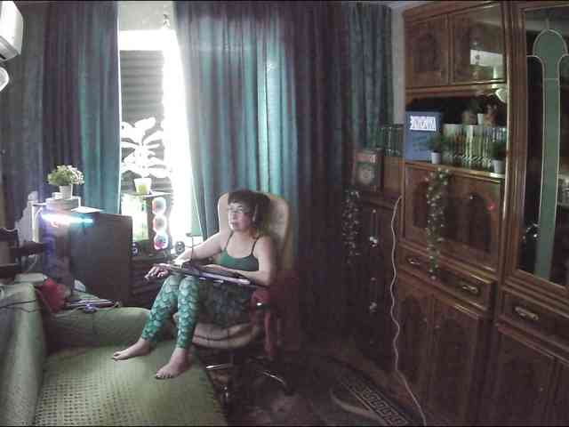 Infodar webcam