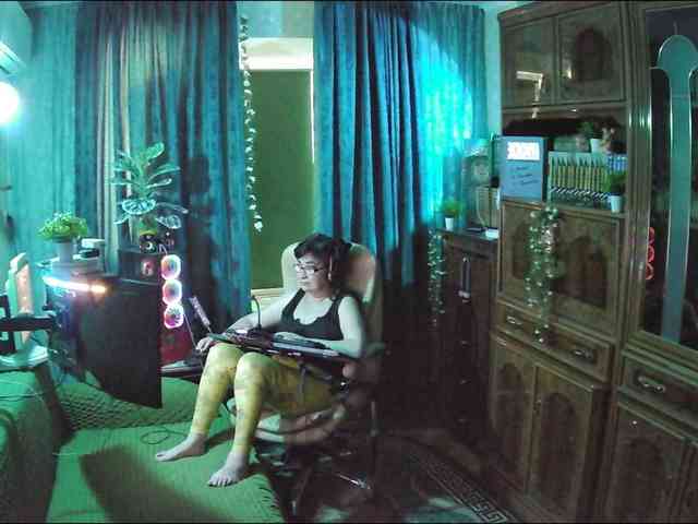 Infodar webcam