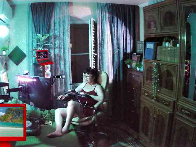 Infodar webcam
