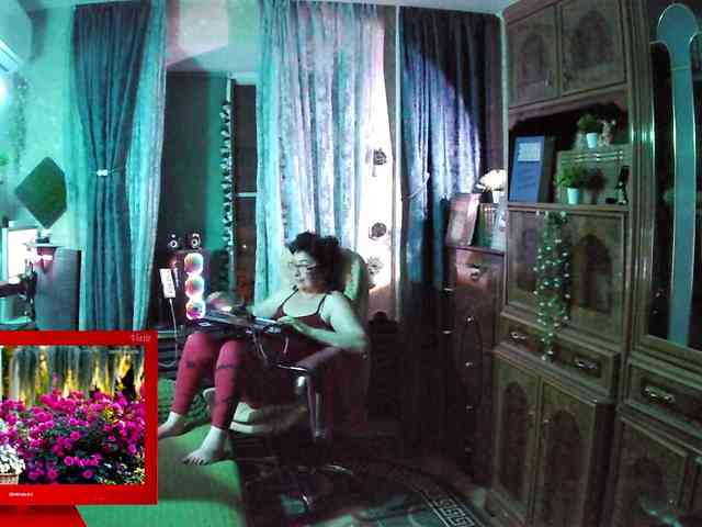 Infodar webcam