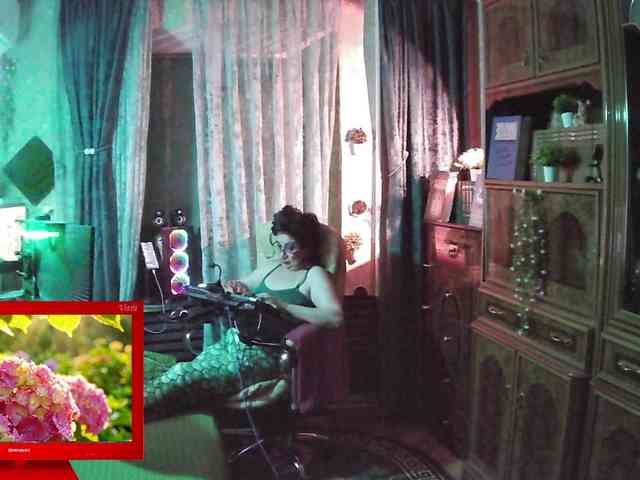 Infodar webcam