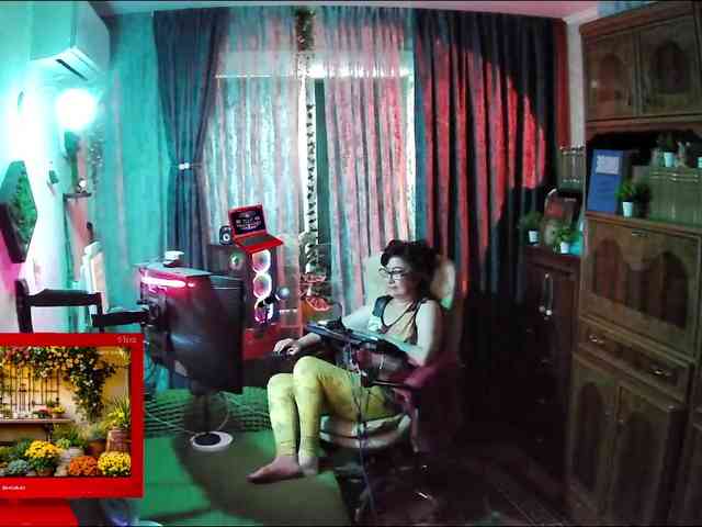 Infodar webcam