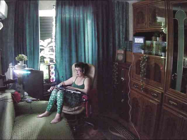 Infodar webcam