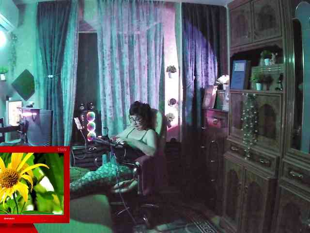 Infodar webcam