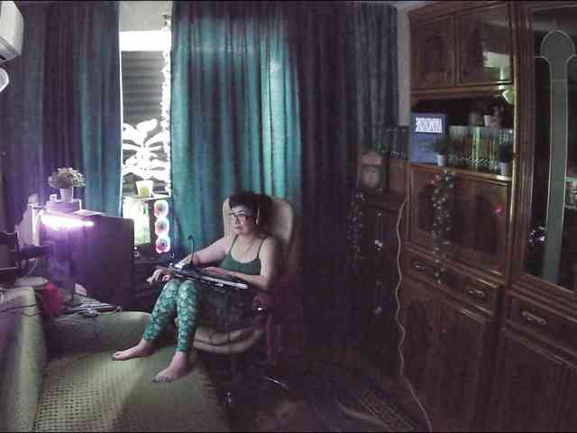Infodar webcam