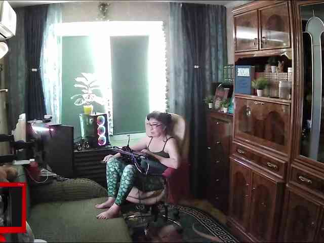 Infodar webcam