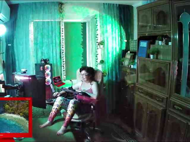 Infodar webcam