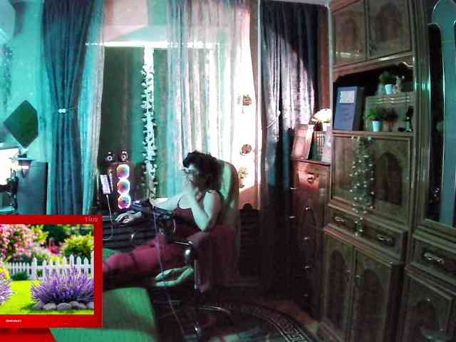 Infodar webcam