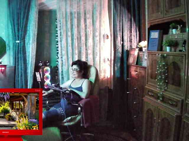 Infodar webcam