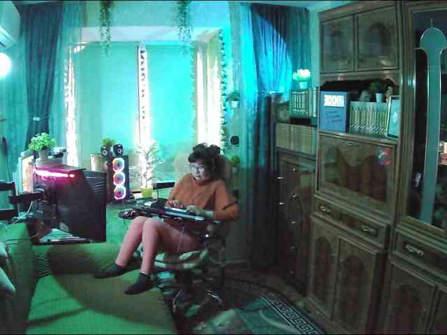 Infodar webcam