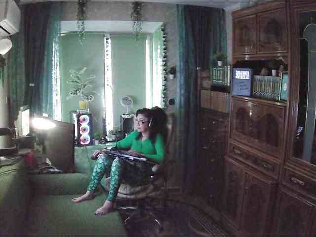Infodar webcam