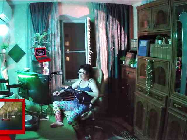 Infodar webcam