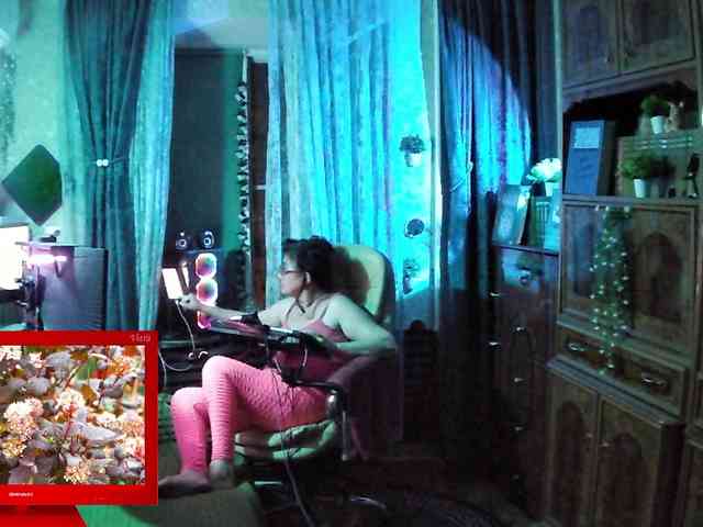 Infodar webcam