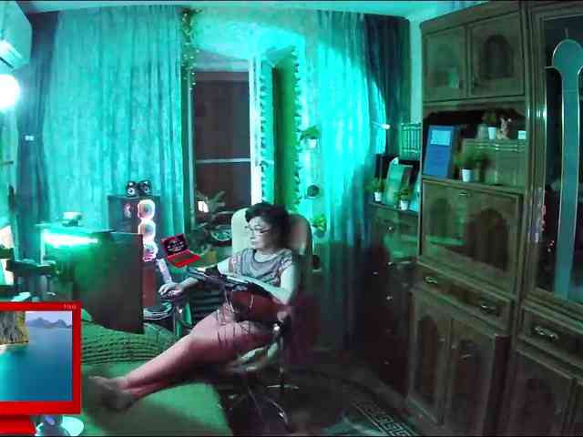 Infodar webcam