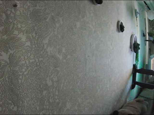 Infodar webcam