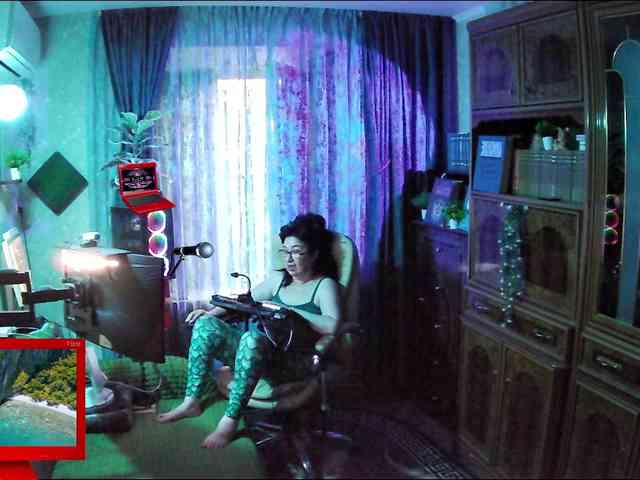 Infodar webcam