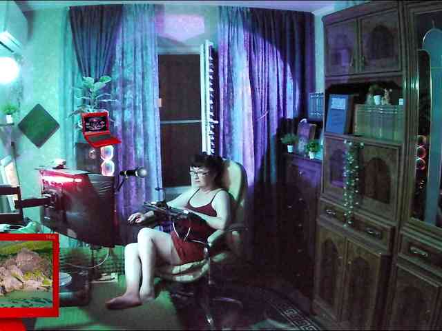 Infodar webcam