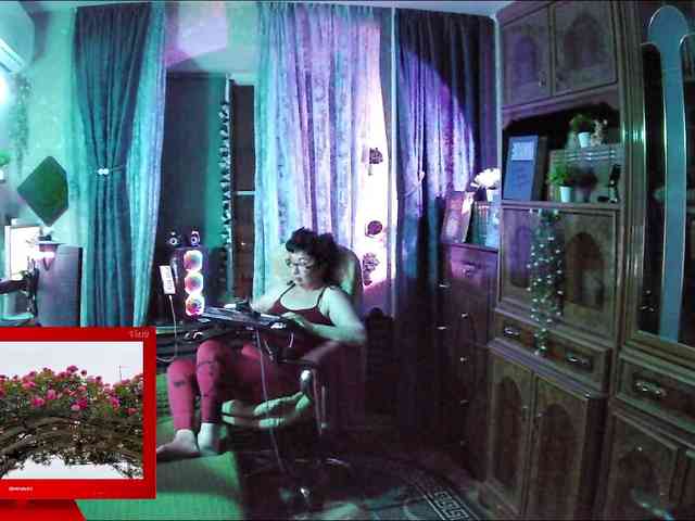 Infodar webcam