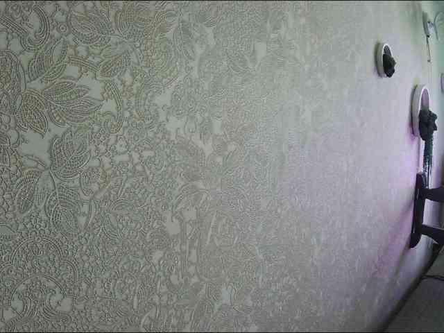 Infodar webcam