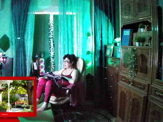 Infodar webcam