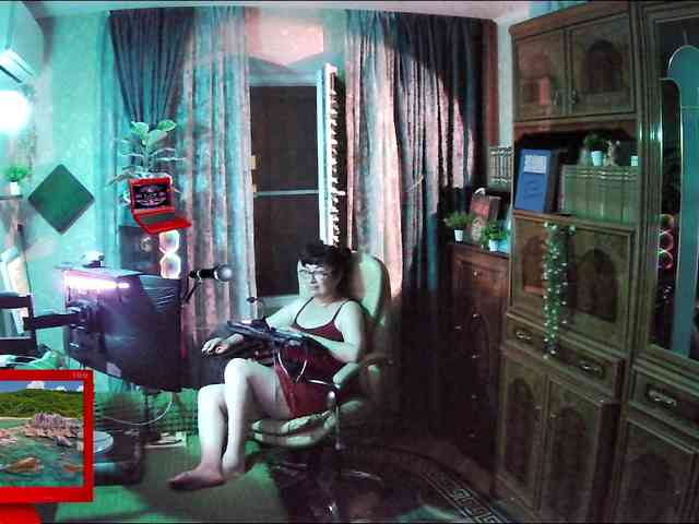Infodar webcam