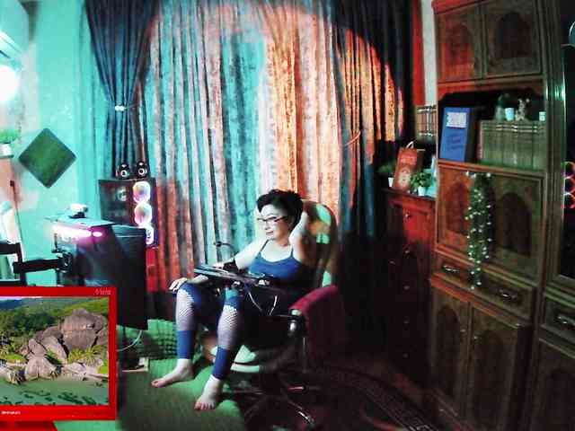 Infodar webcam