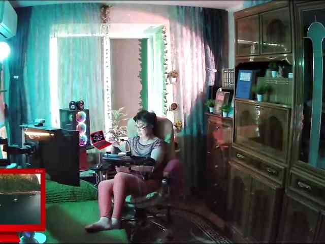 Infodar webcam