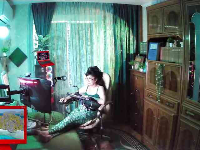Infodar webcam