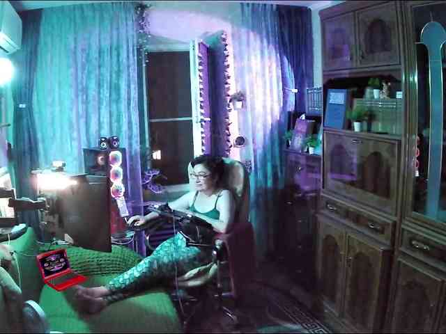Infodar webcam