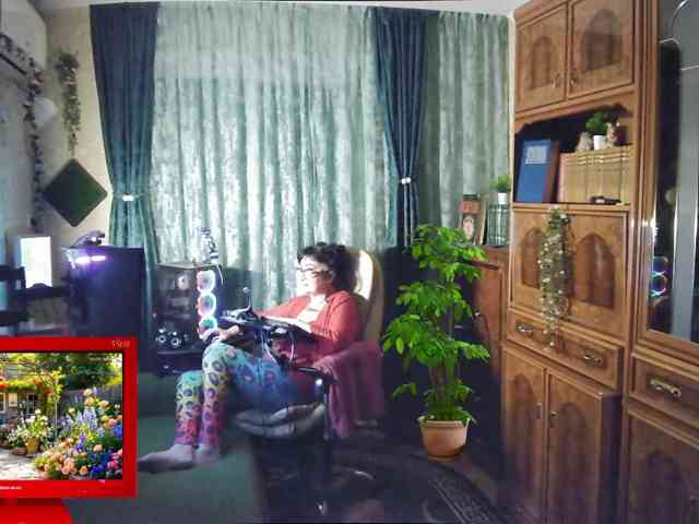 Infodar webcam