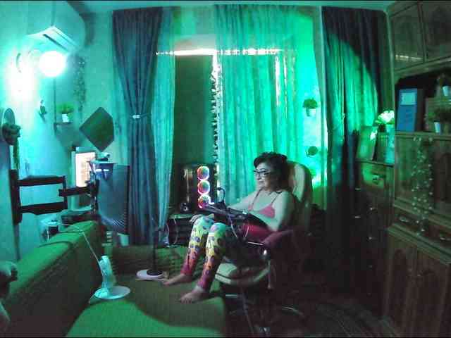 Infodar webcam