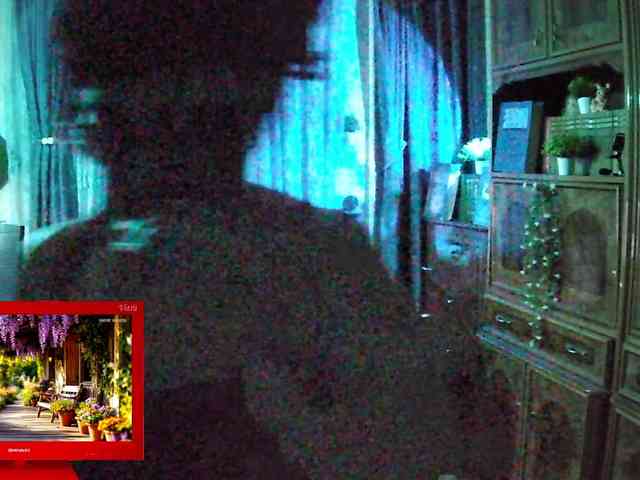 Infodar webcam